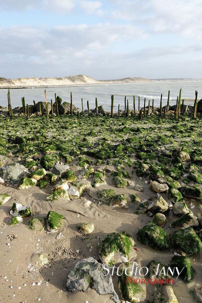 Berck-sur-Mer-0195.jpg