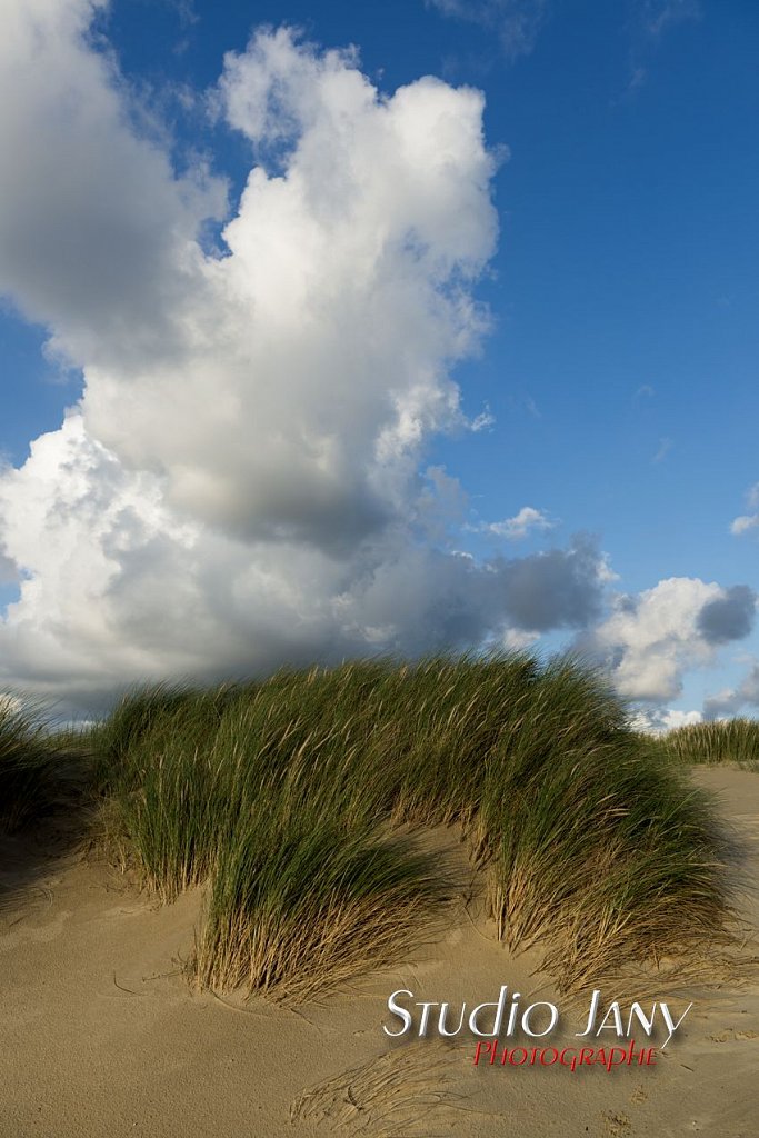 Berck-sur-Mer-0351.jpg