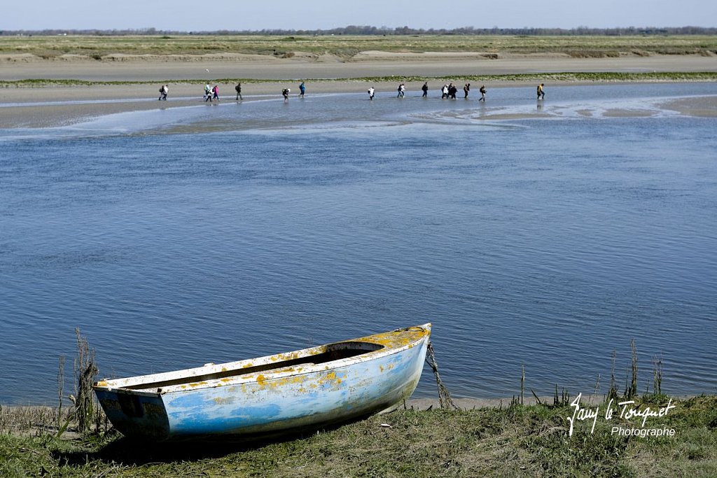 Baie-de-Somme-0082.jpg