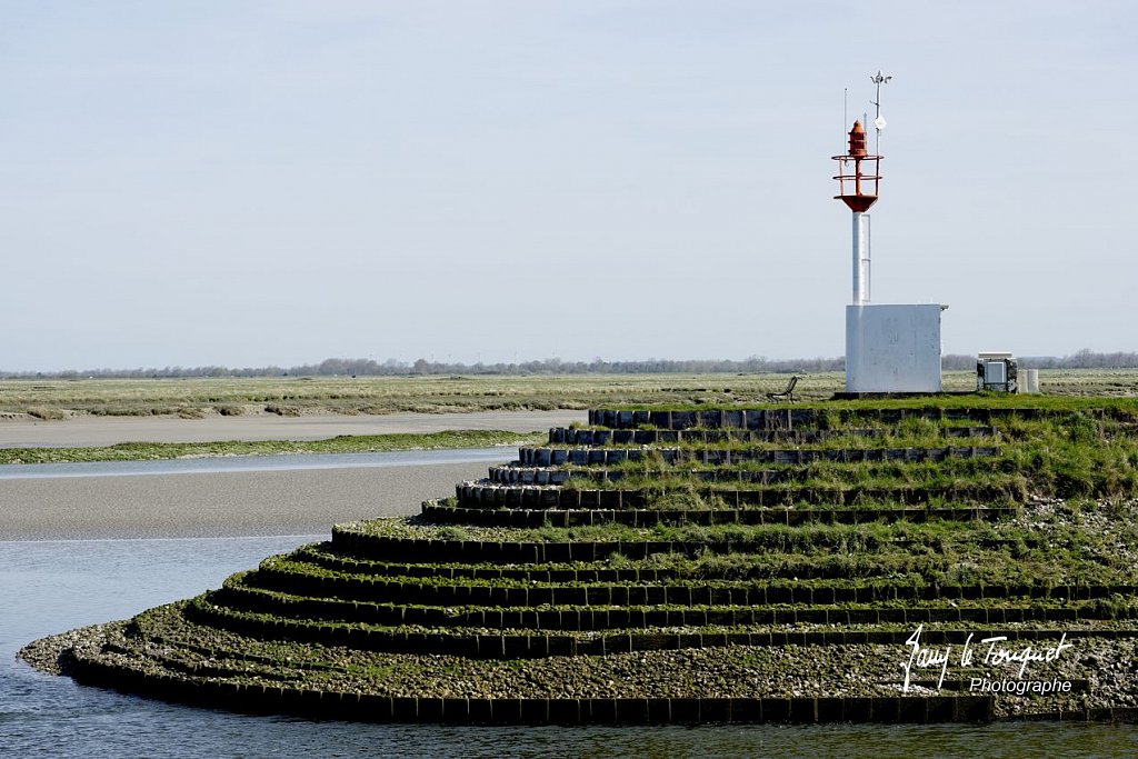 Baie-de-Somme-0049.jpg