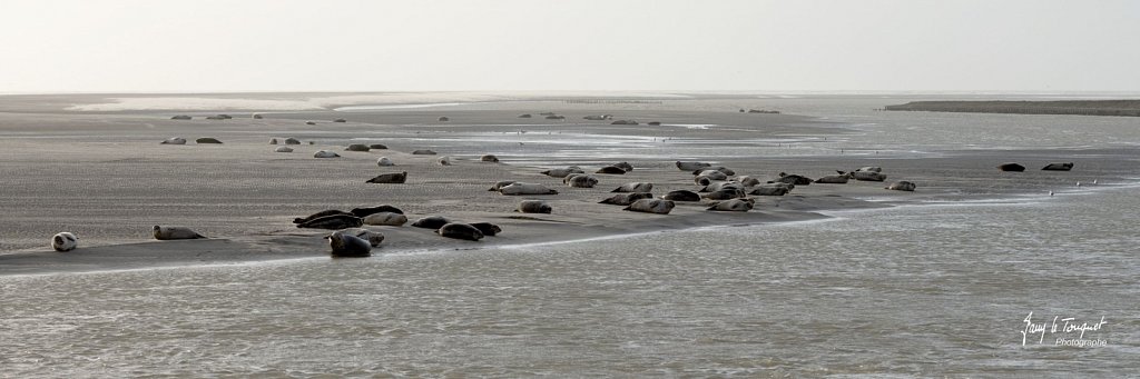 Berck-sur-Mer-0498.jpg