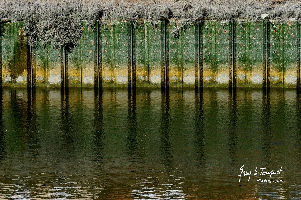 Baie-de-Somme-0173.jpg