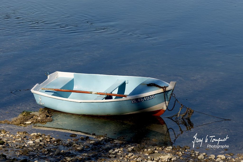 Baie-de-Somme-0177.jpg