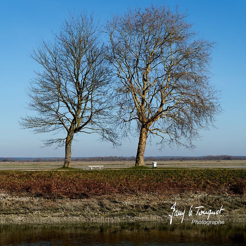 Baie-de-Somme-0184.jpg