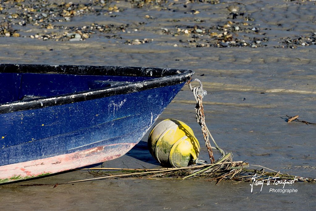 Baie-de-Somme-0176.jpg