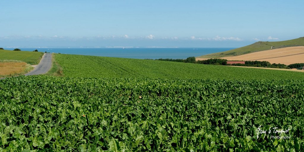 Cap-Blanc-Nez-0117.jpg