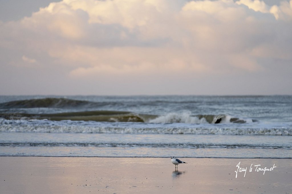 Le-Touquet-2097.jpg