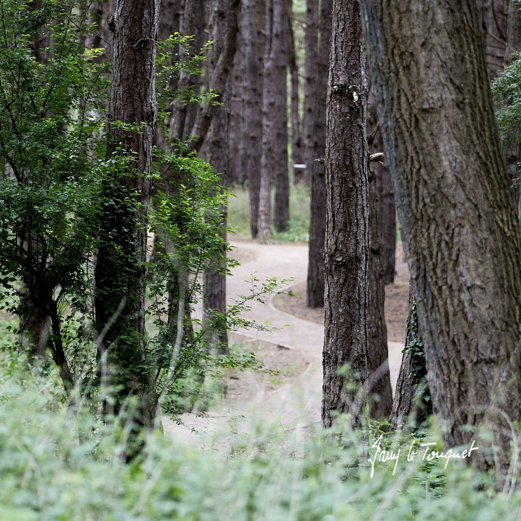 Le-Touquet-2125.jpg